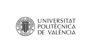 MBA Executive - Universidad Politécnica de Valencia