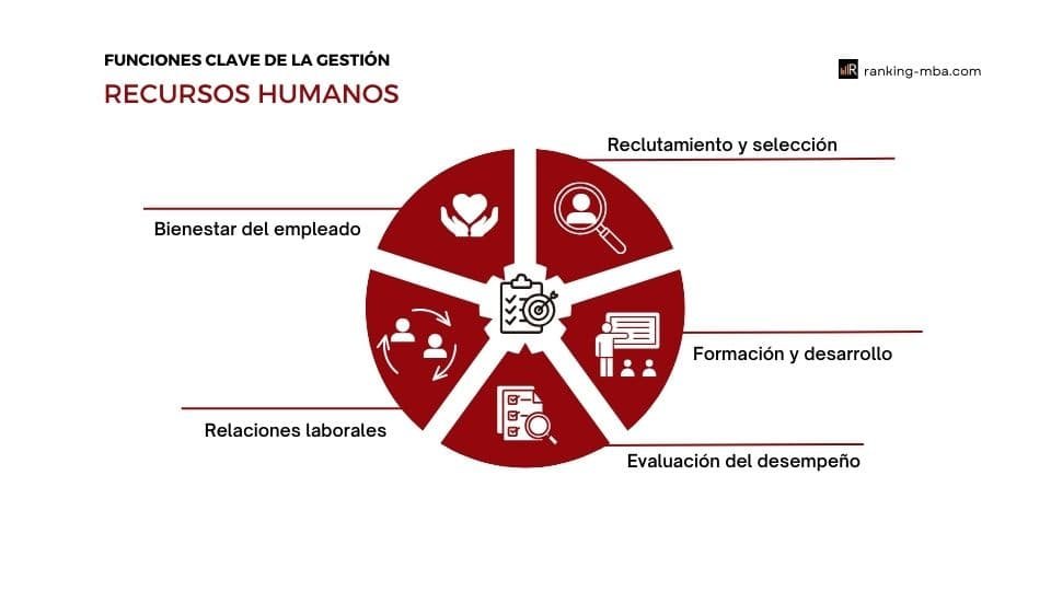 Funciones en la gestión de los Recursos Humanos